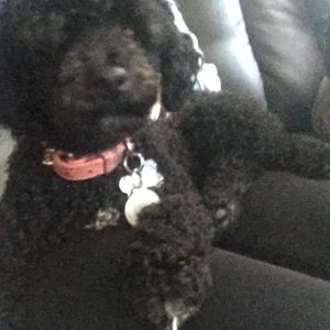 Meet your Posher, Nicole